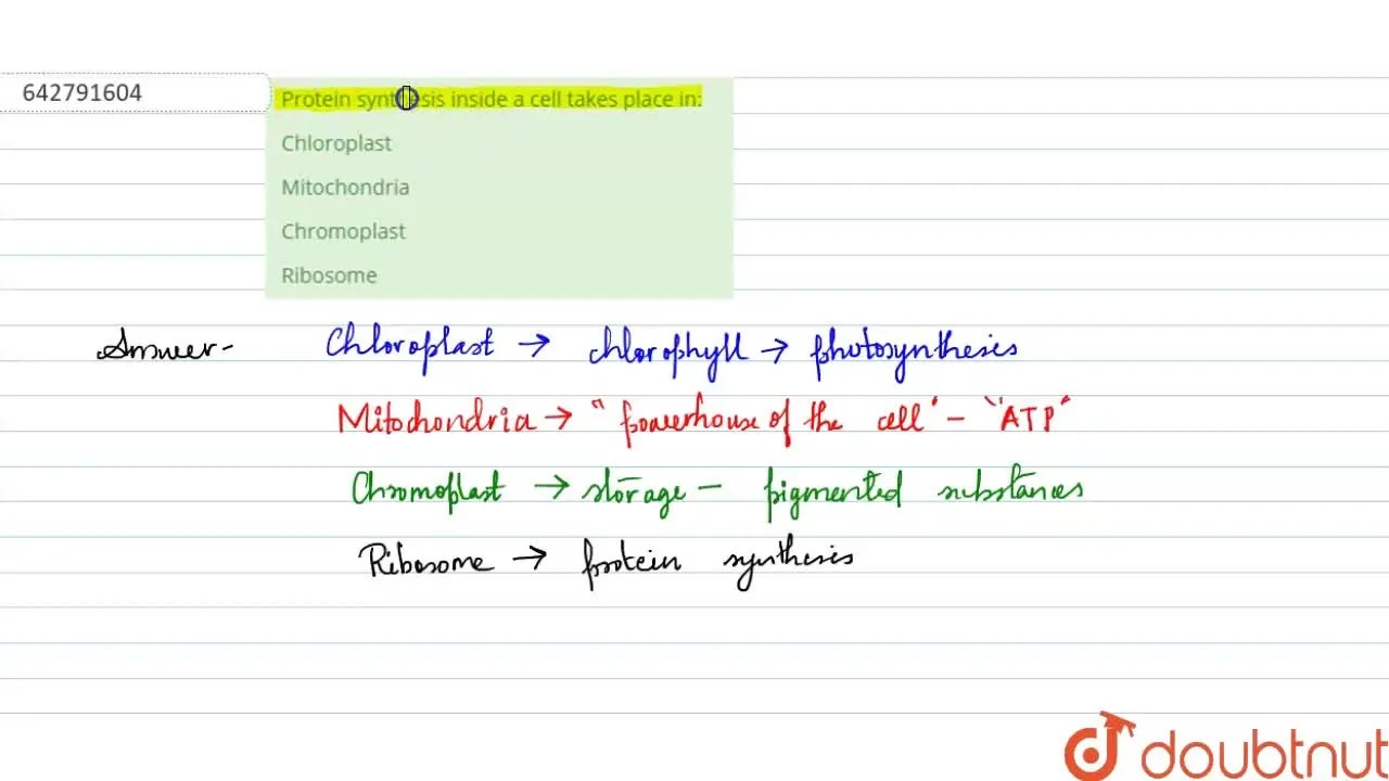[Odia Solution] Protein synthesis inside a cell takes place in
