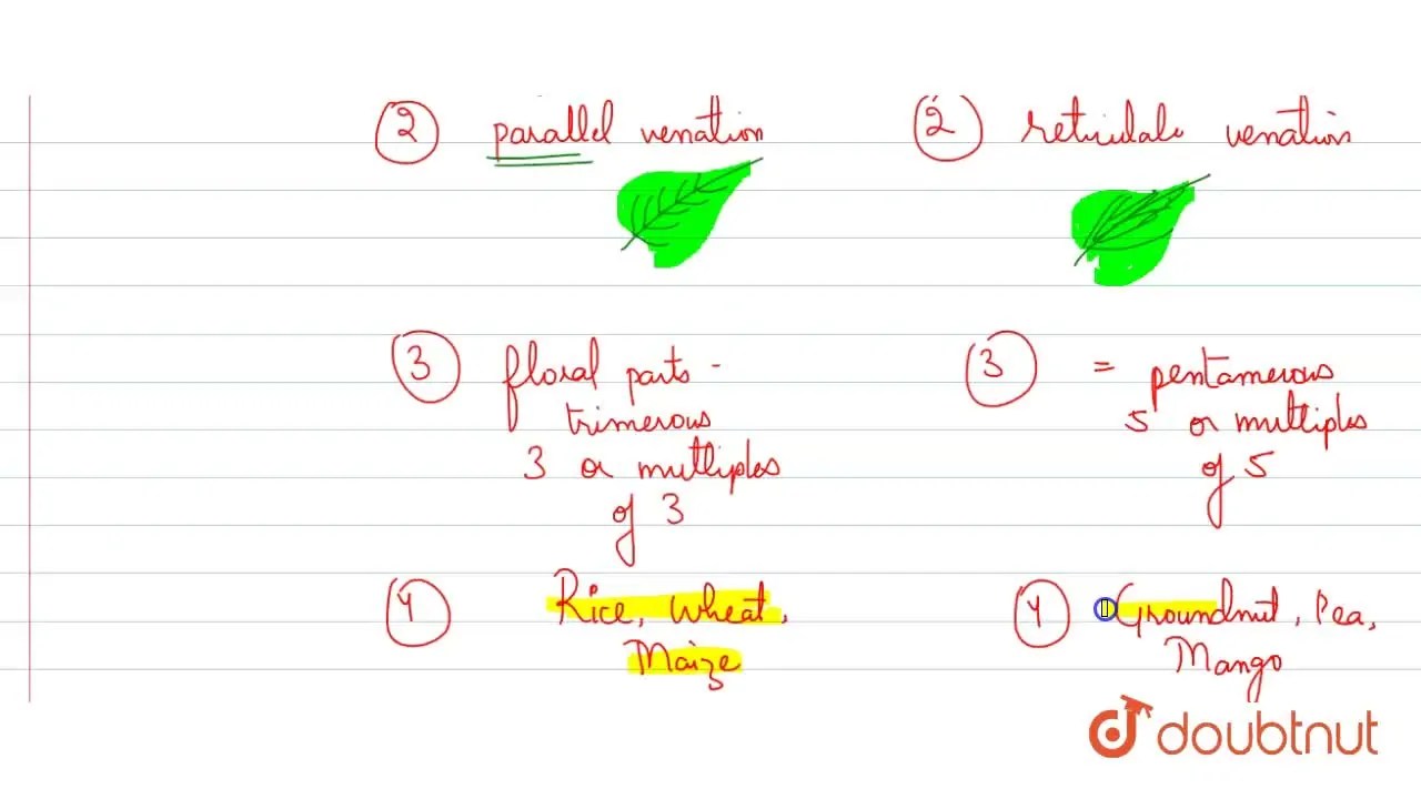 Name atleast two monocots and two dicot plants.