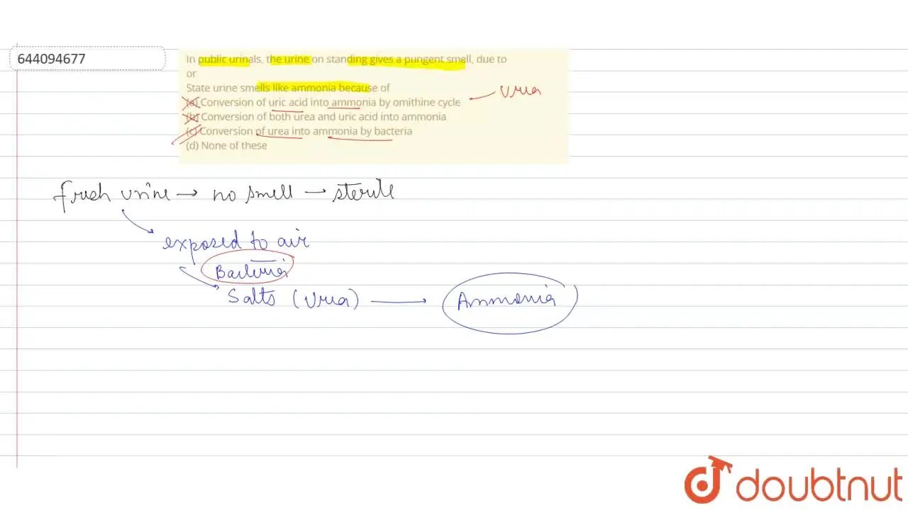 Conversion of urea into ammonia by bacteria