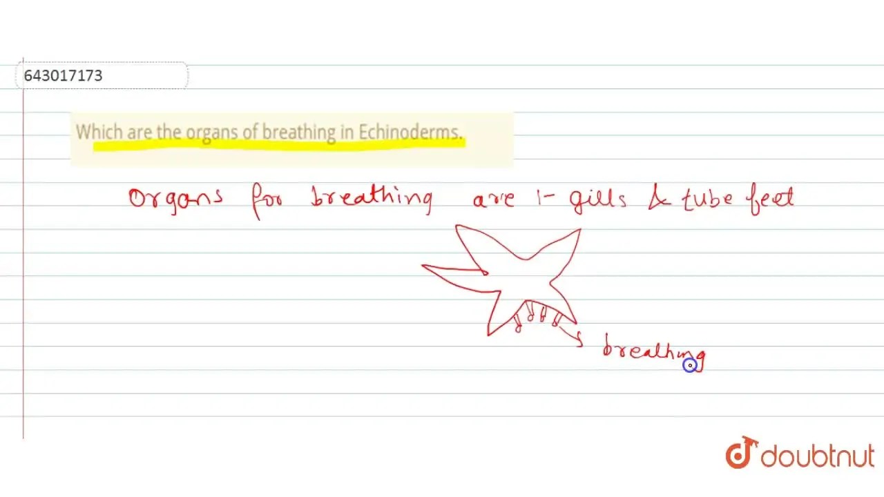 [Marathi Solution] Which are the organs of breathing in Echinoderms.