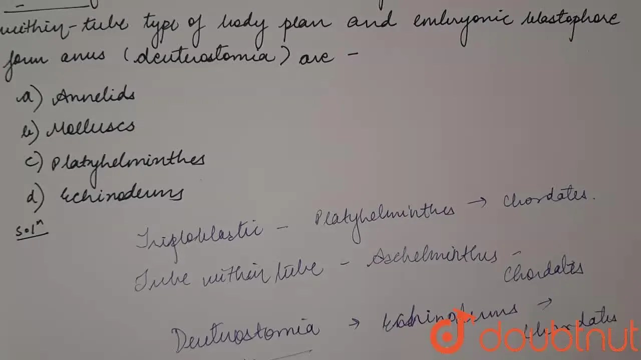 Animlas which are triploblatic with tube within tube type of body p