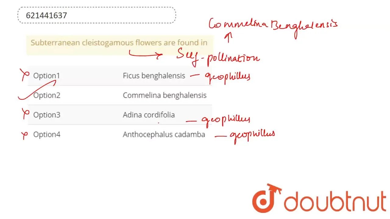 [Telugu Solution] Subterranean cleistogamous flowers are found in