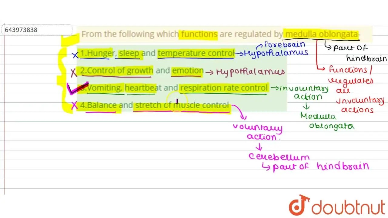 [Bengali Solution] 3.Vomiting, heartbeat and respiration rate control