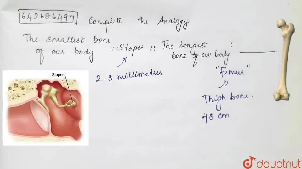[Tamil Solution] Analogy The smallest bone of our body Stapes.The lo