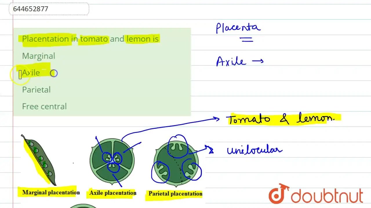 Placentation in tomato and lemon is