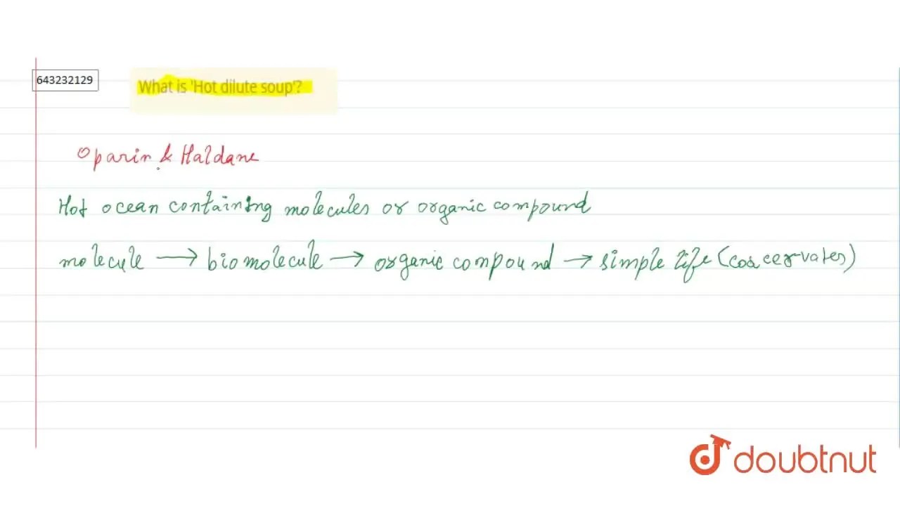 [Bengali Solution] What is 'Hot dilute soup'?