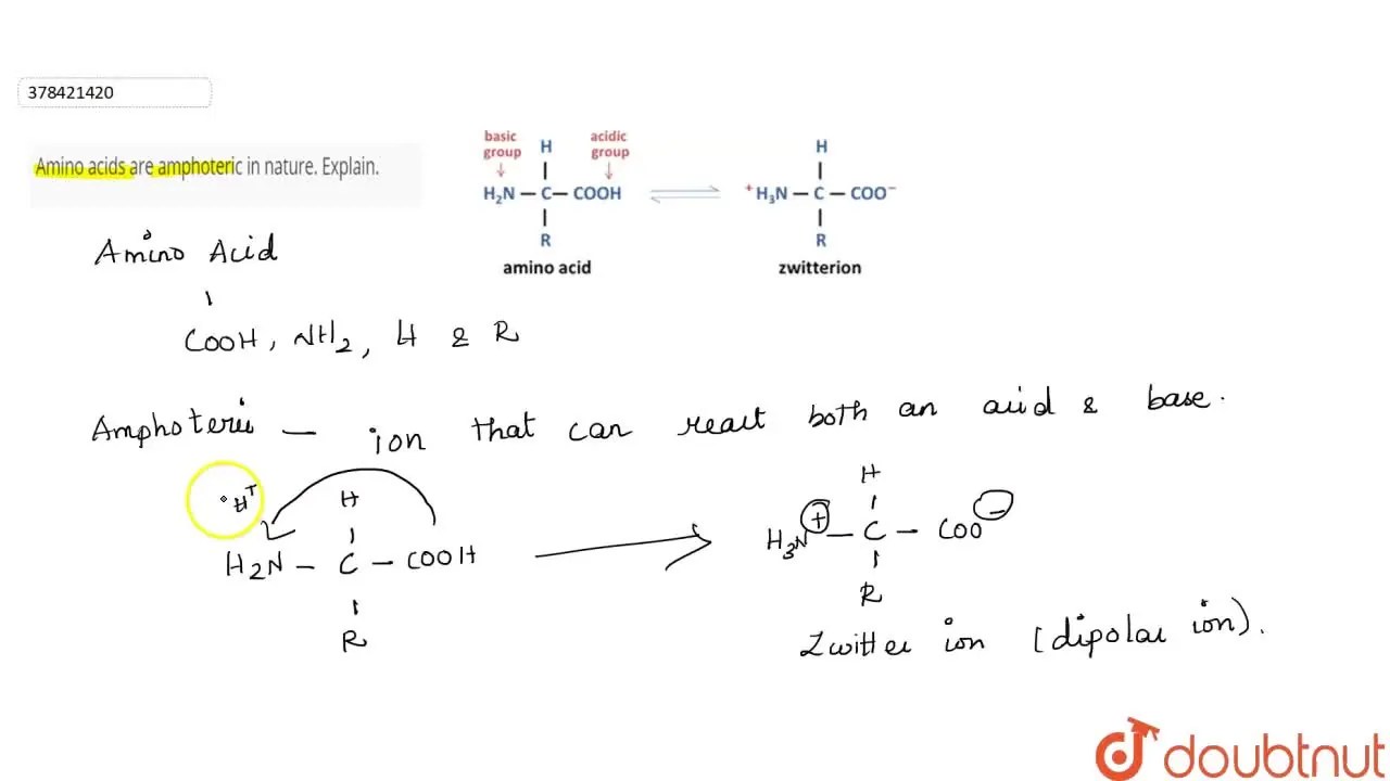 [Tamil] Amino acids are amphoteric in nature. Explain.