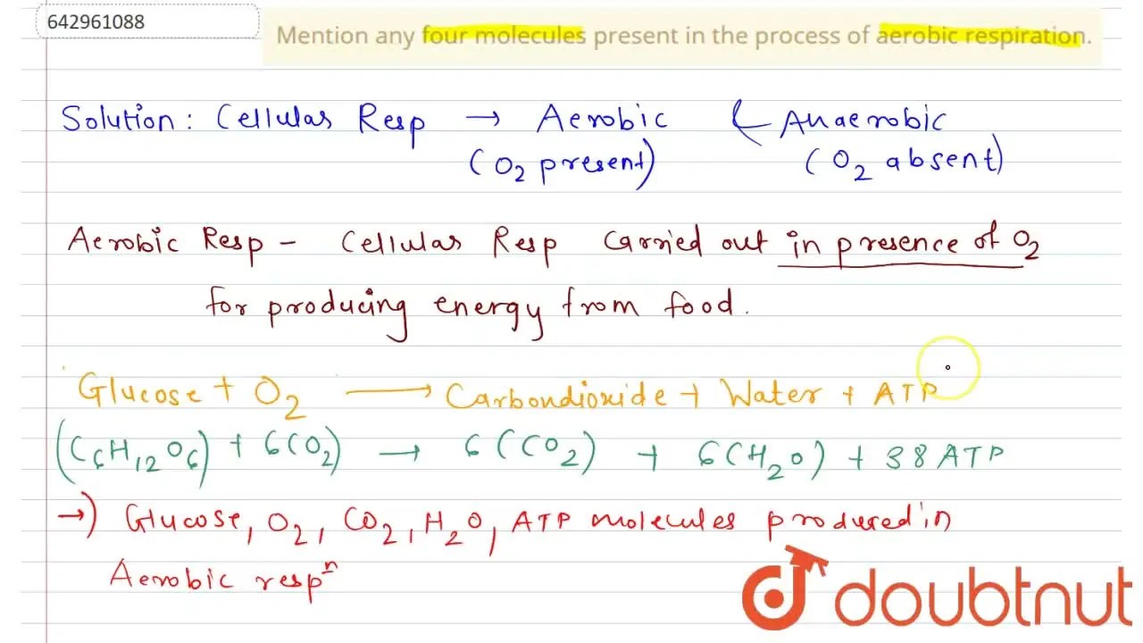 [Marathi Solution] Mention any four molecules present in the process o
