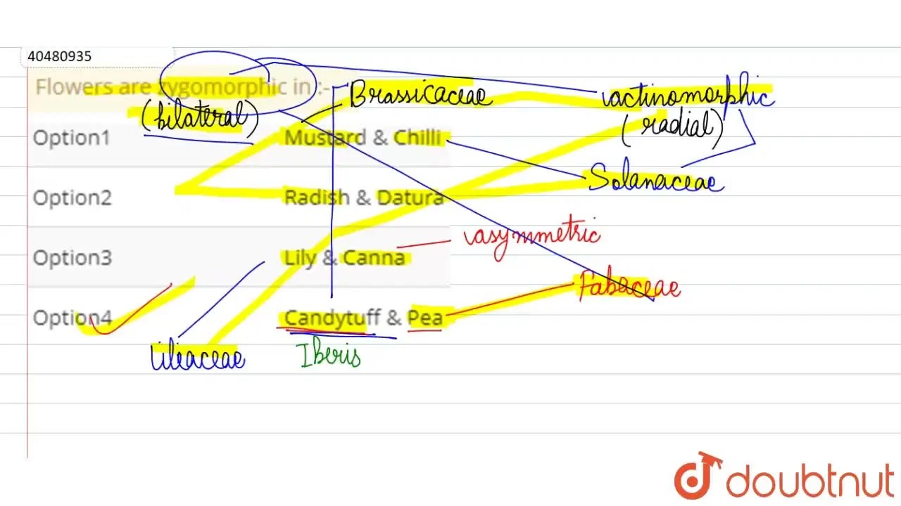 Flowers are zygomorphic in