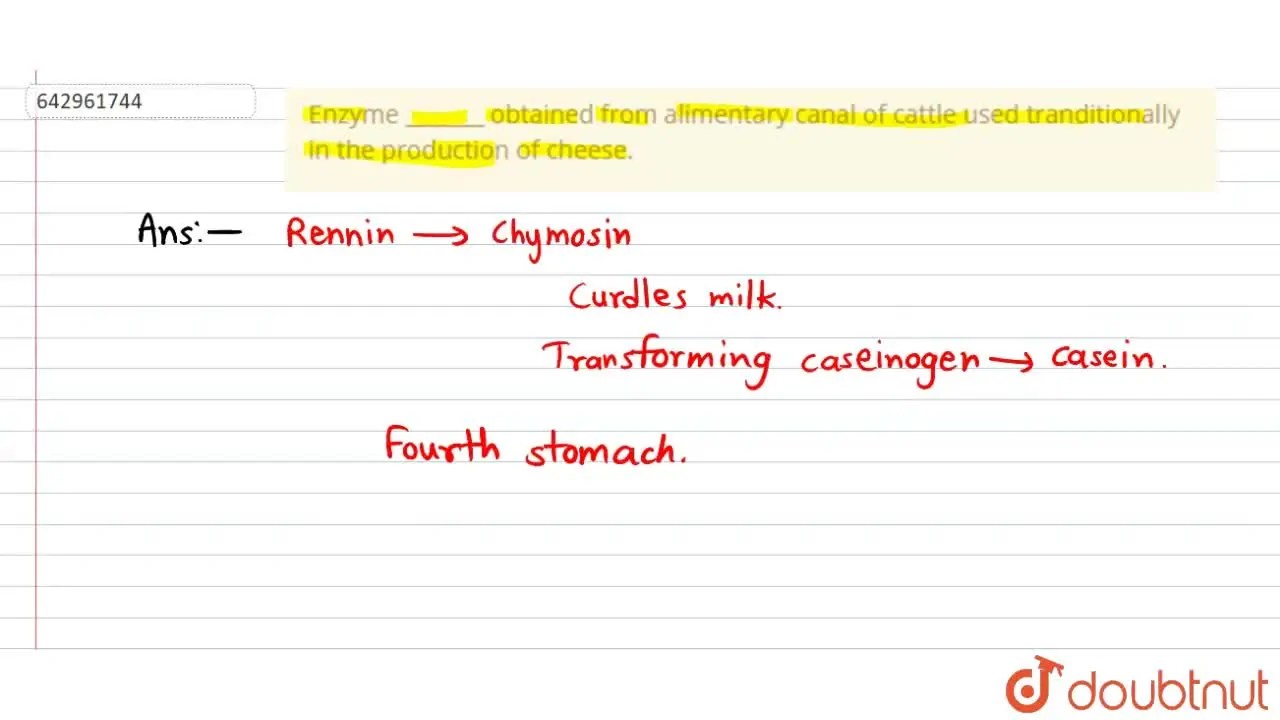 [Marathi Solution] Enzyme obtained from alimentary canal of cattle us