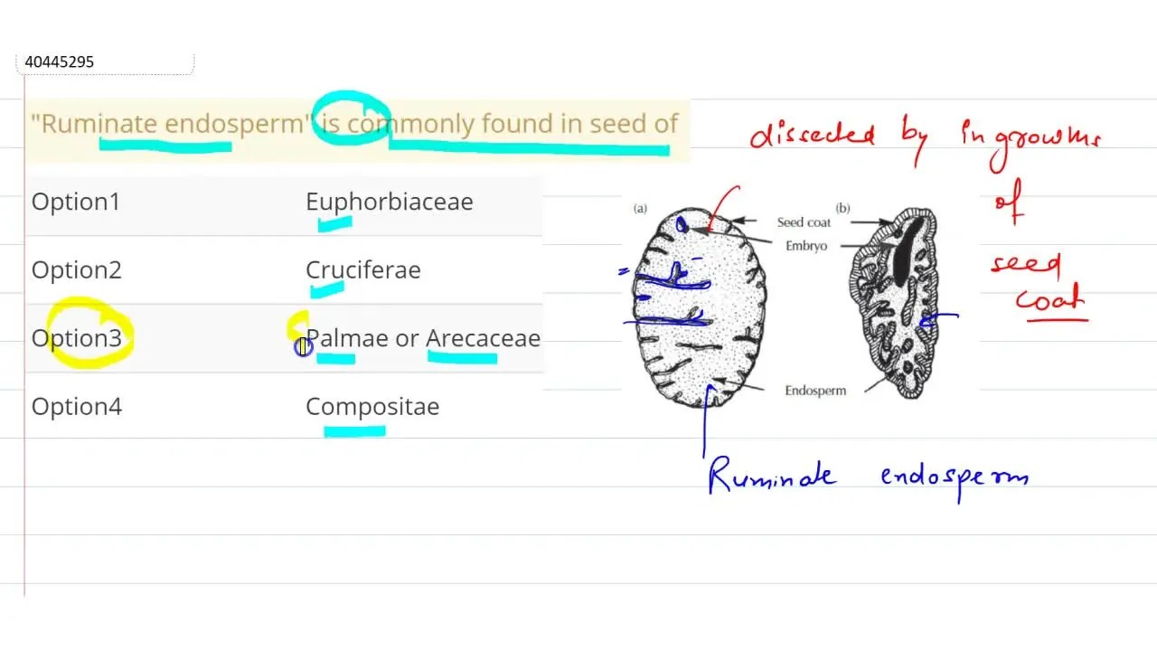 "Ruminate endosperm" is commonly found in seed of