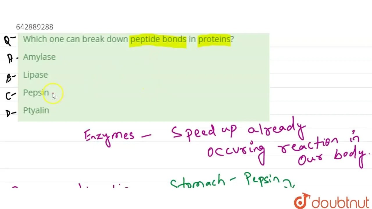 [Odia Solution] Which one can break down peptide bonds in proteins?