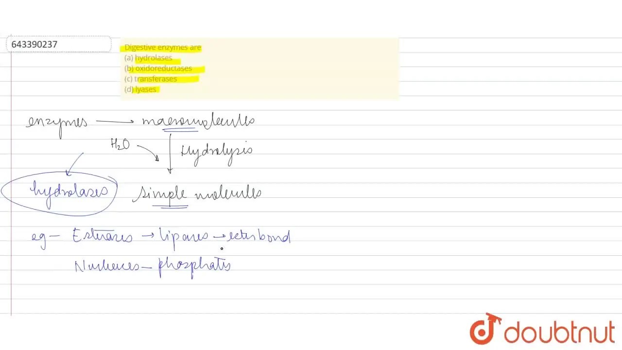 Digestive enzymes are (a) hydrolases (b) oxidoreductases (c) trans