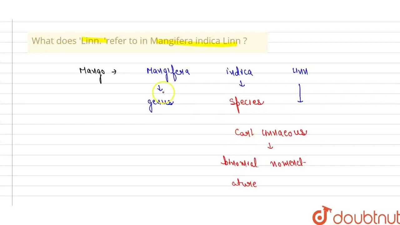 What does 'Linn. 'refer to in Mangifera indica Linn