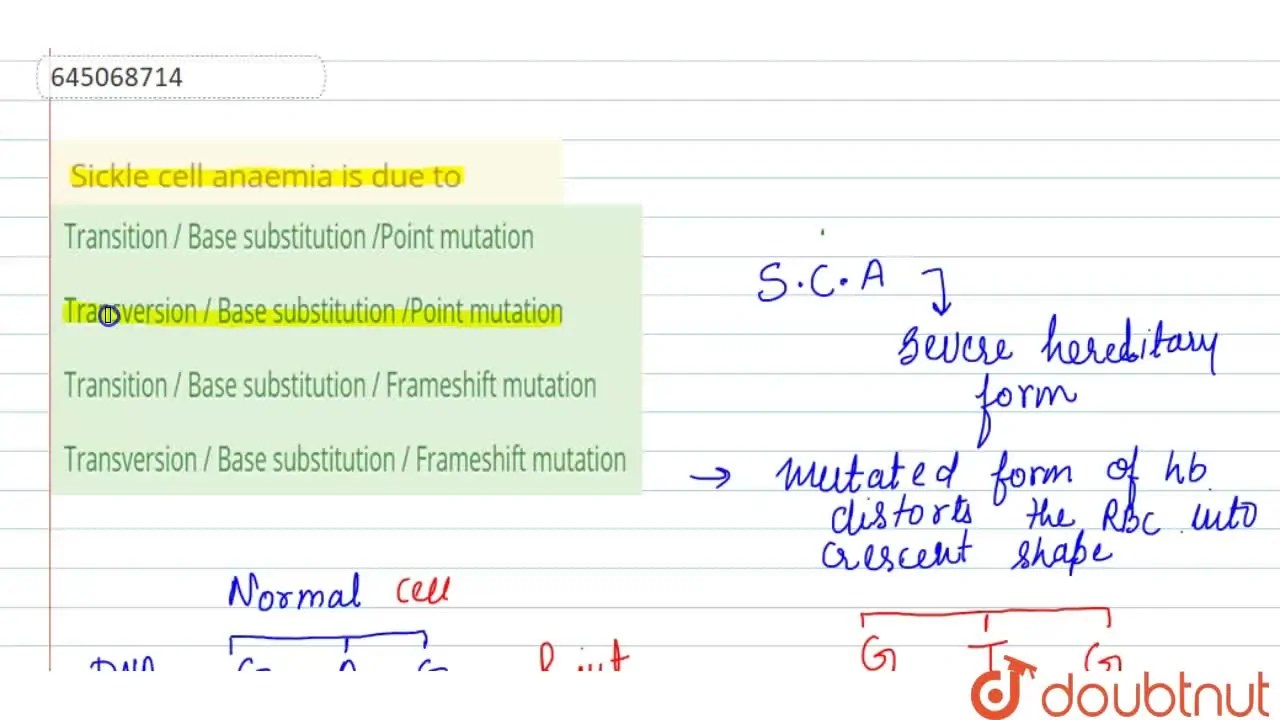 Transition / Base substitution / Frameshift mutation