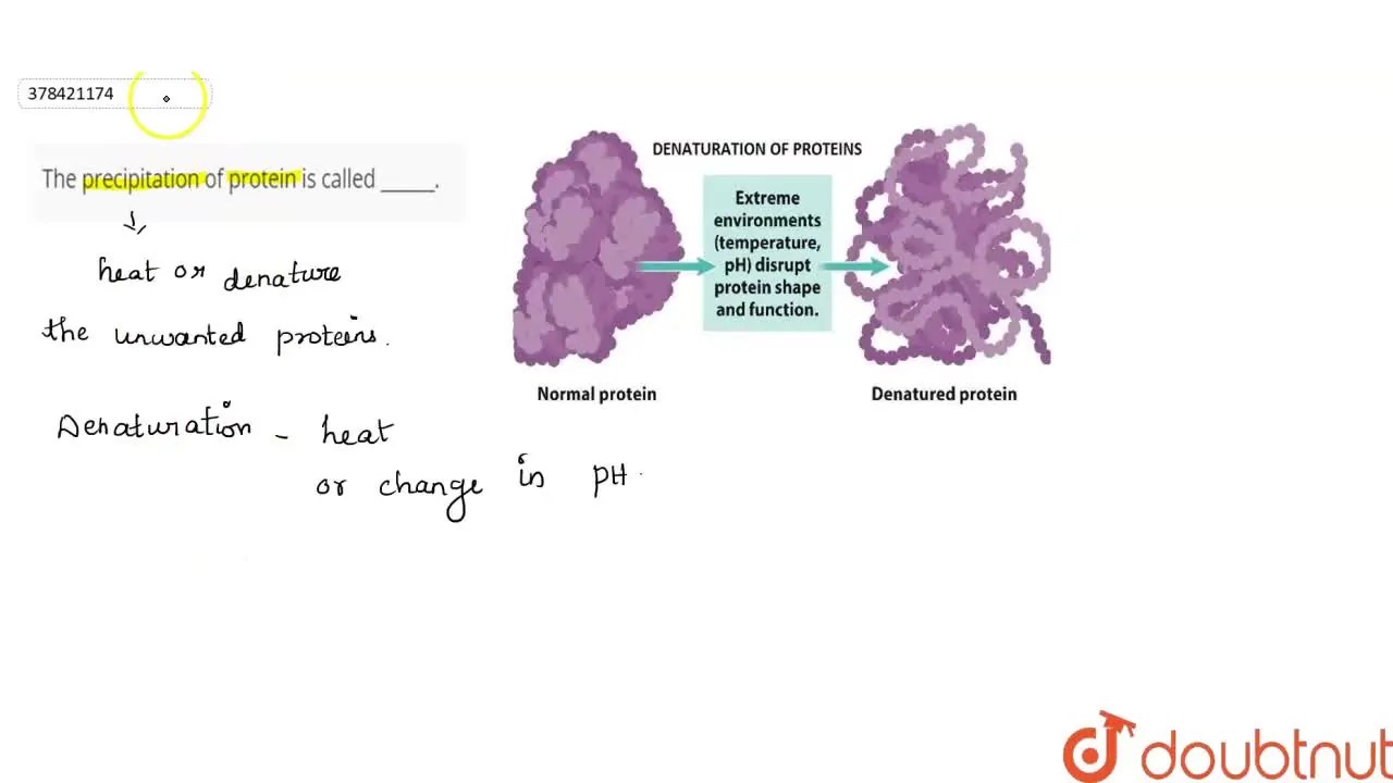 [Tamil] The precipitation of protein is called