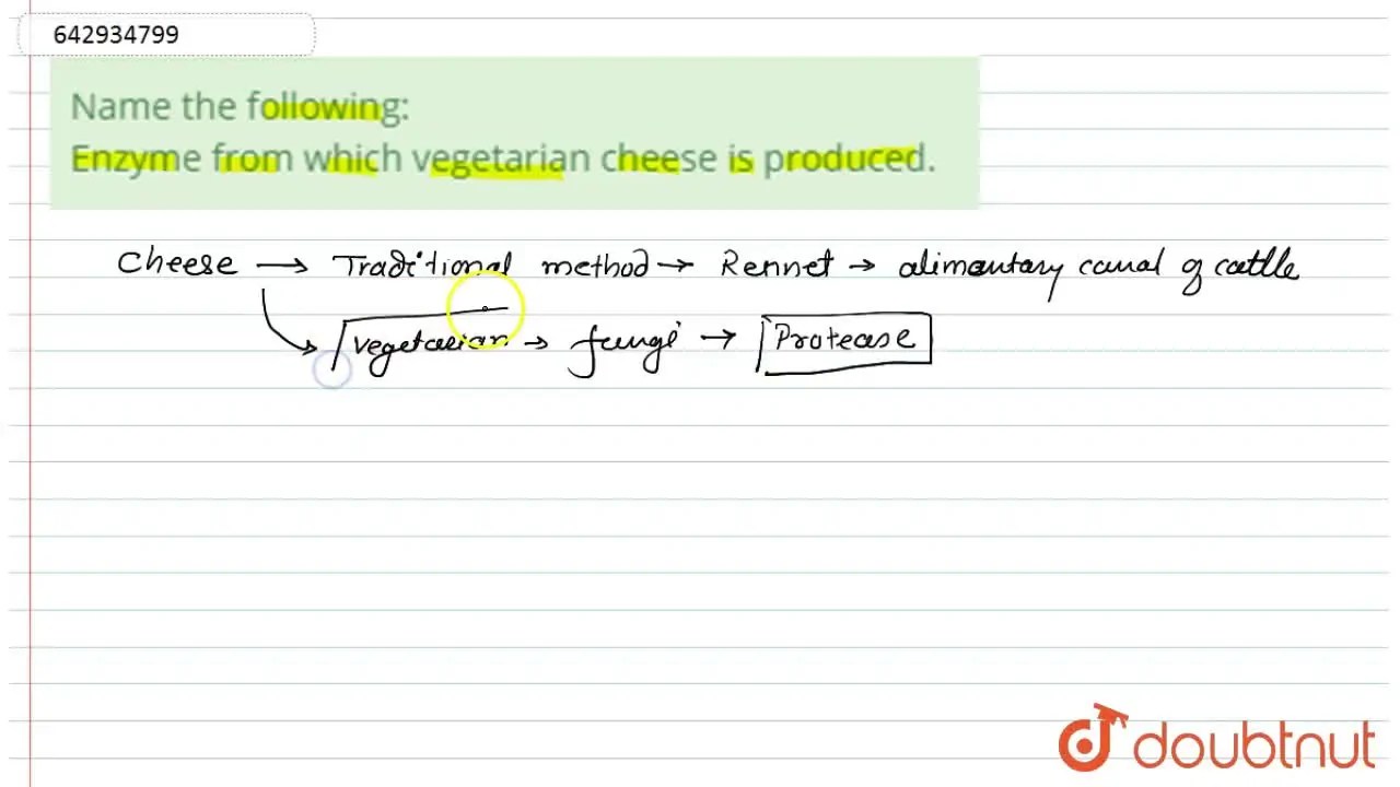 [Marathi Solution] Name the following Enzyme from which vegetarian