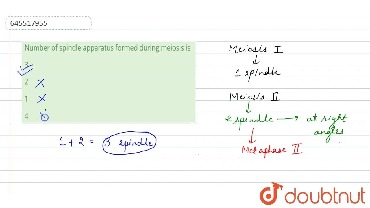 [Bengali Solution] Number of spindle apparatus formed during meiosis i