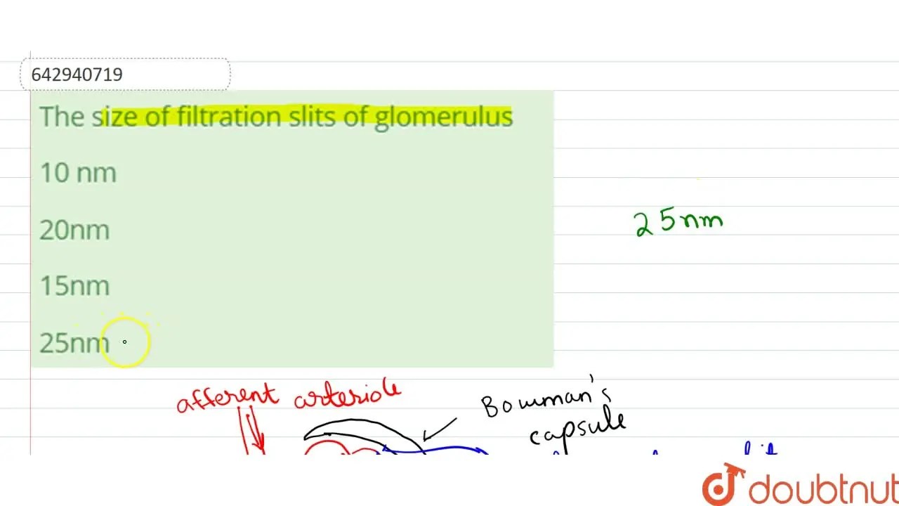 [Malayalam Solution] The size of filtration slits of glomerulus