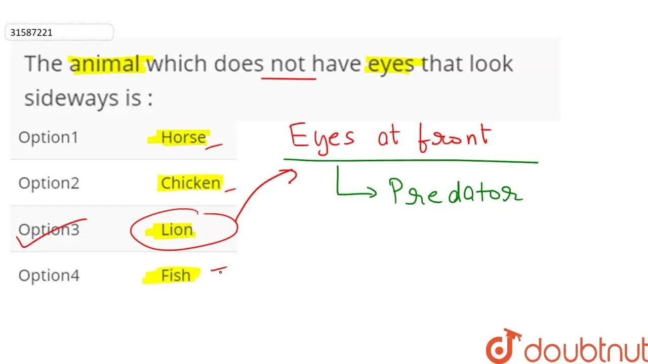 The animal which does not have eyes that look sideways is