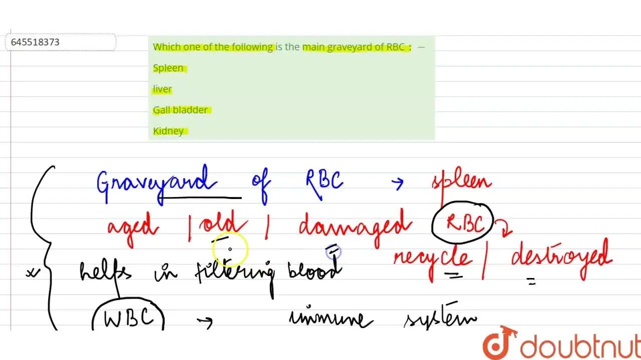 [Bengali Solution] Which one of the following is the main graveyard of