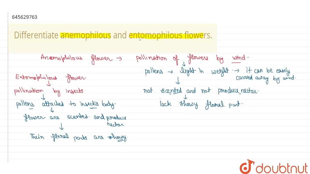 [Punjabi Solution] Differentiate anemophilous and entomophilous flower