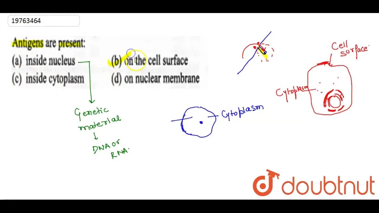 Antigens are present