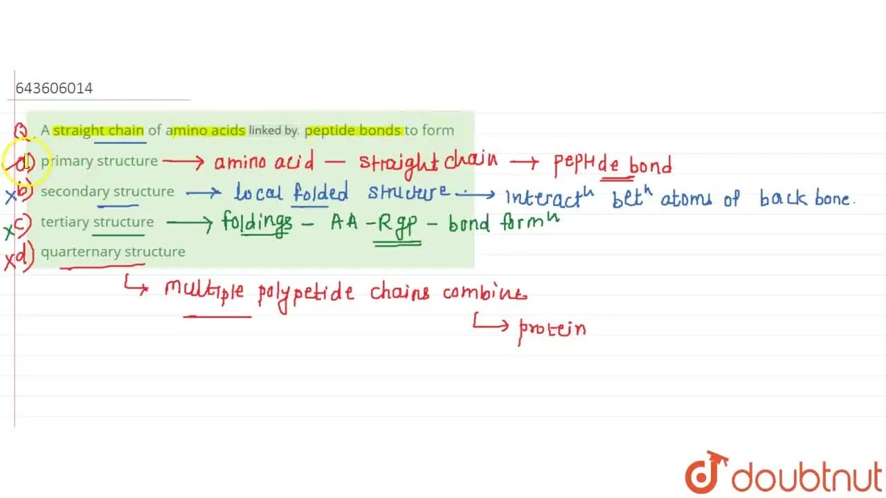 [Marathi Solution] A straight chain of amino acids liked by peptide bo