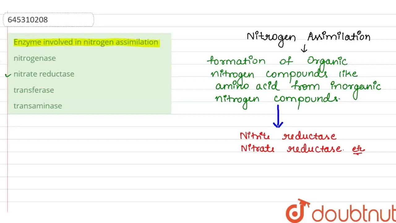 [Kannada Solution] Enzyme involved in nitrogen assimilation