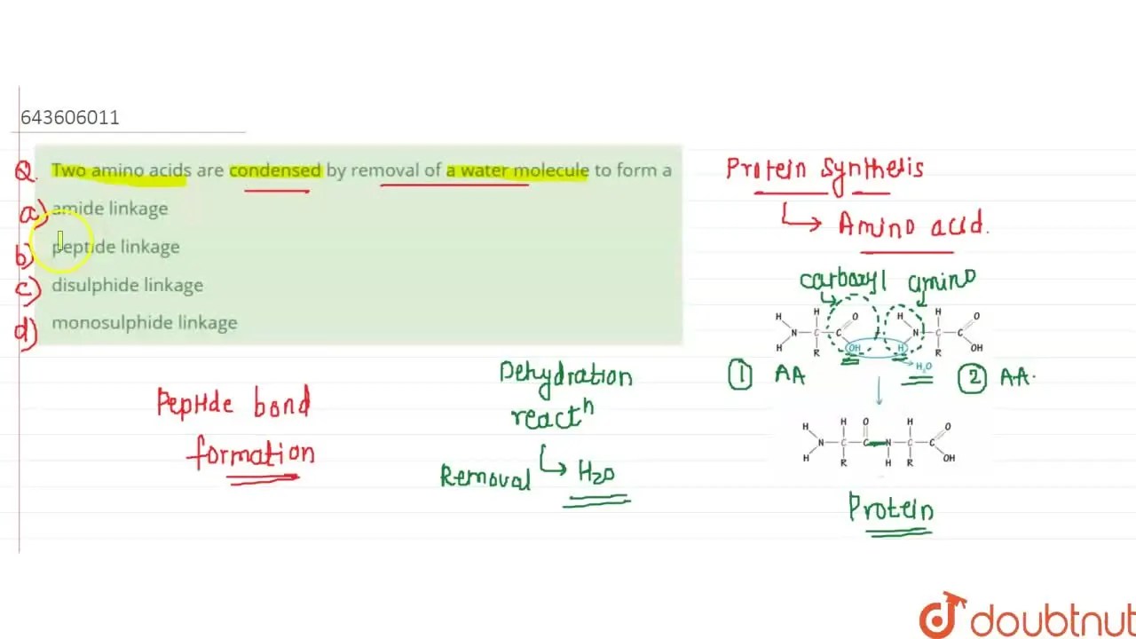 [Marathi Solution] Two amino acids are condensed by removal of a water