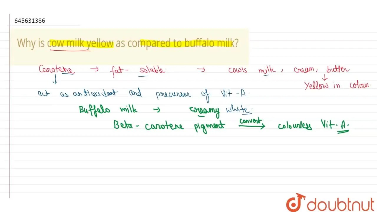 [Punjabi Solution] Why is cow milk yellow as compared to buffalo milk?