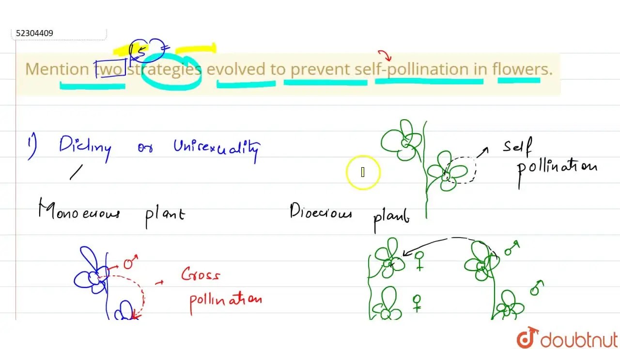 Mention two strategies evolved to prevent selfpollination in flowers.