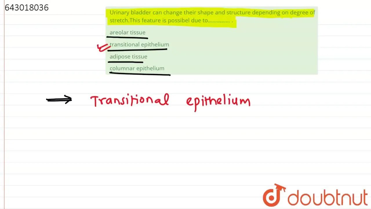[Marathi Solution] Urinary bladder can change their shape and structur