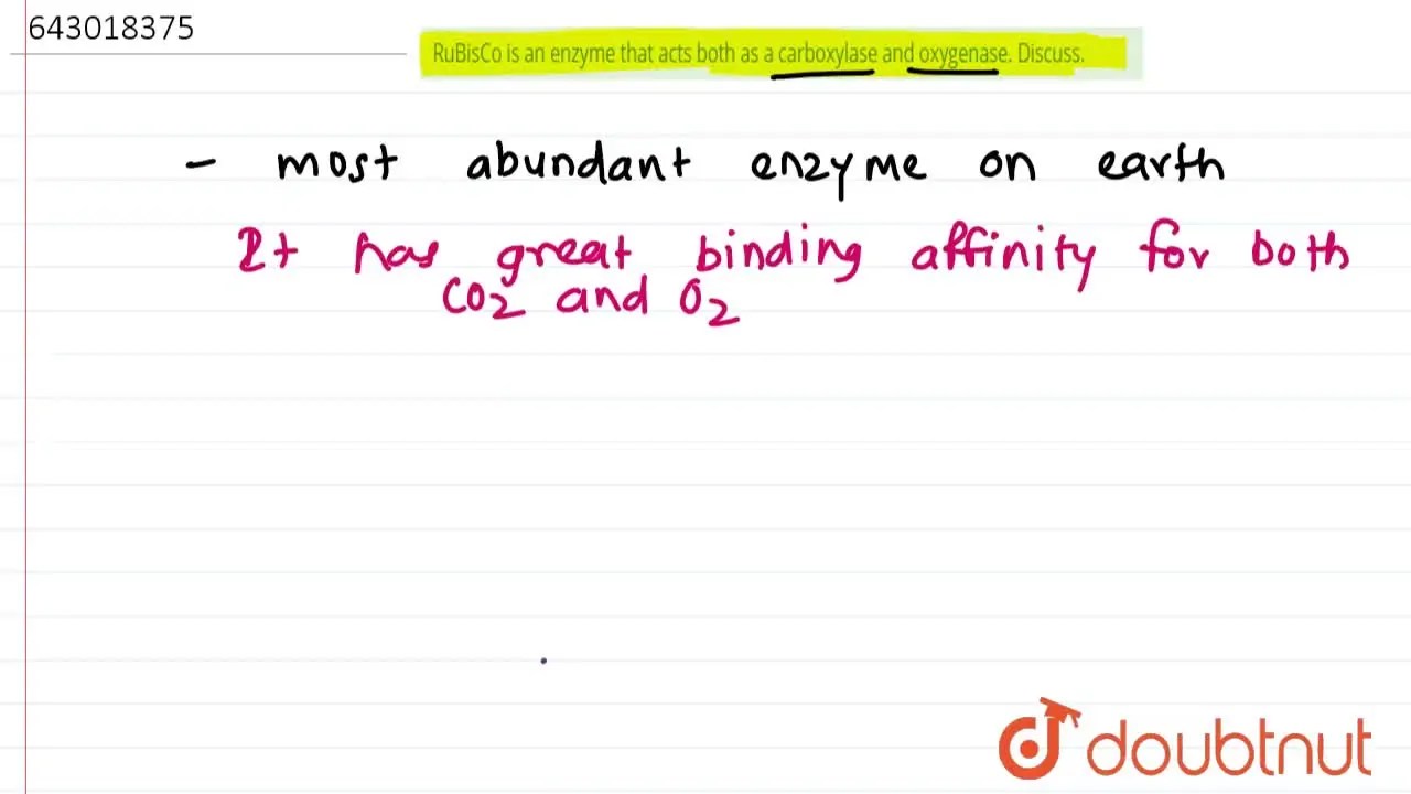 [Marathi Solution] RuBisCo is an enzyme that acts both as a carboxylas