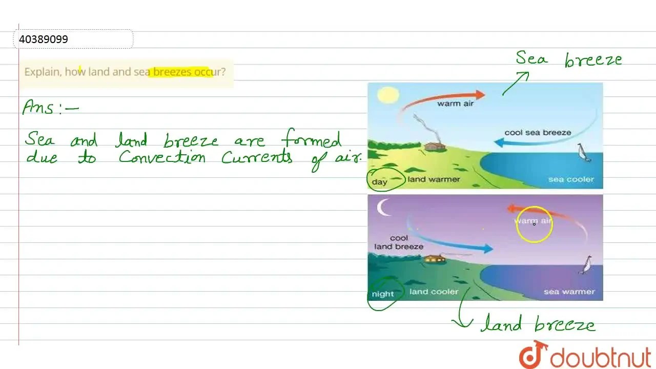 Explain, how land and sea breezes occur?