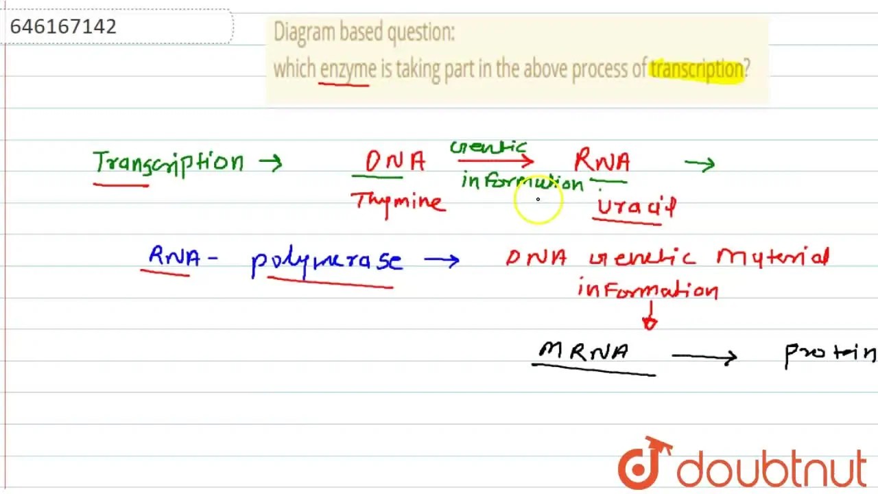 [Marathi Solution] Diagram based question which enzyme is taking par