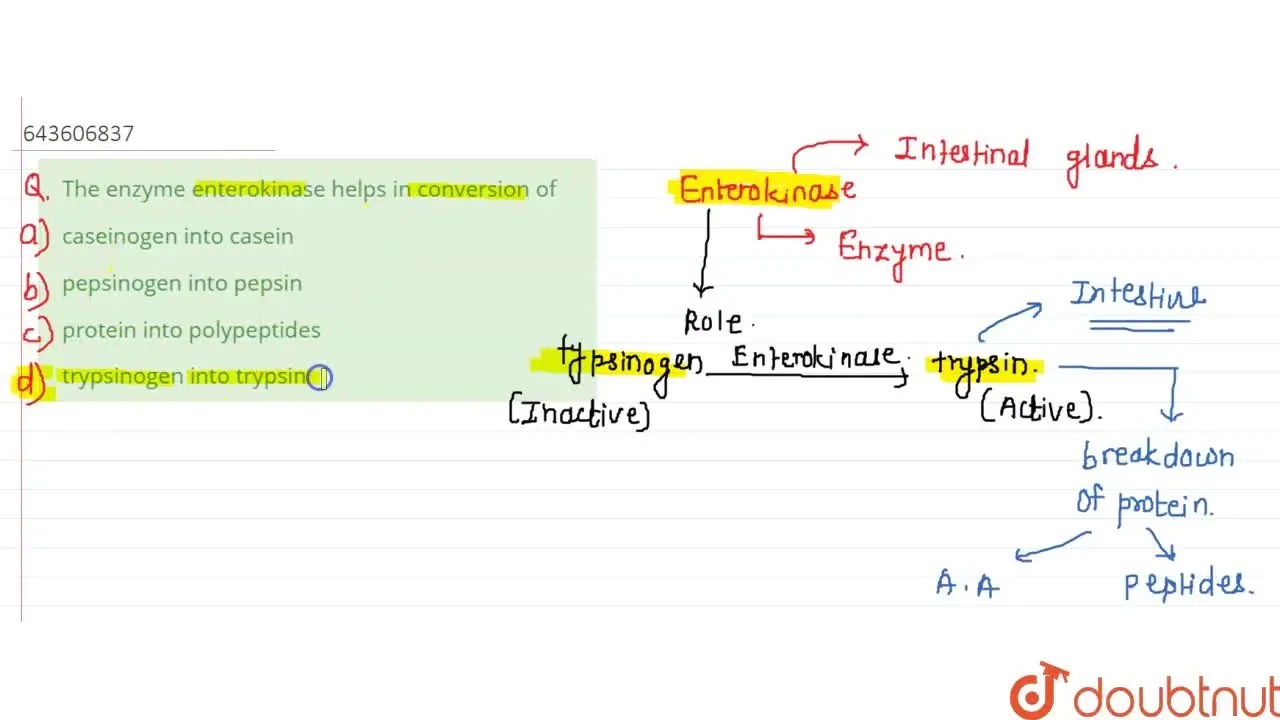 [Marathi Solution] The enzyme enterokinase helps in conversion of