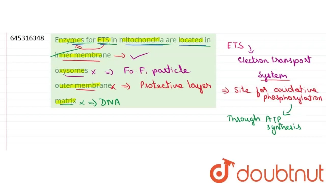 [Kannada Solution] Enzymes for ETS in mitochondria are located in
