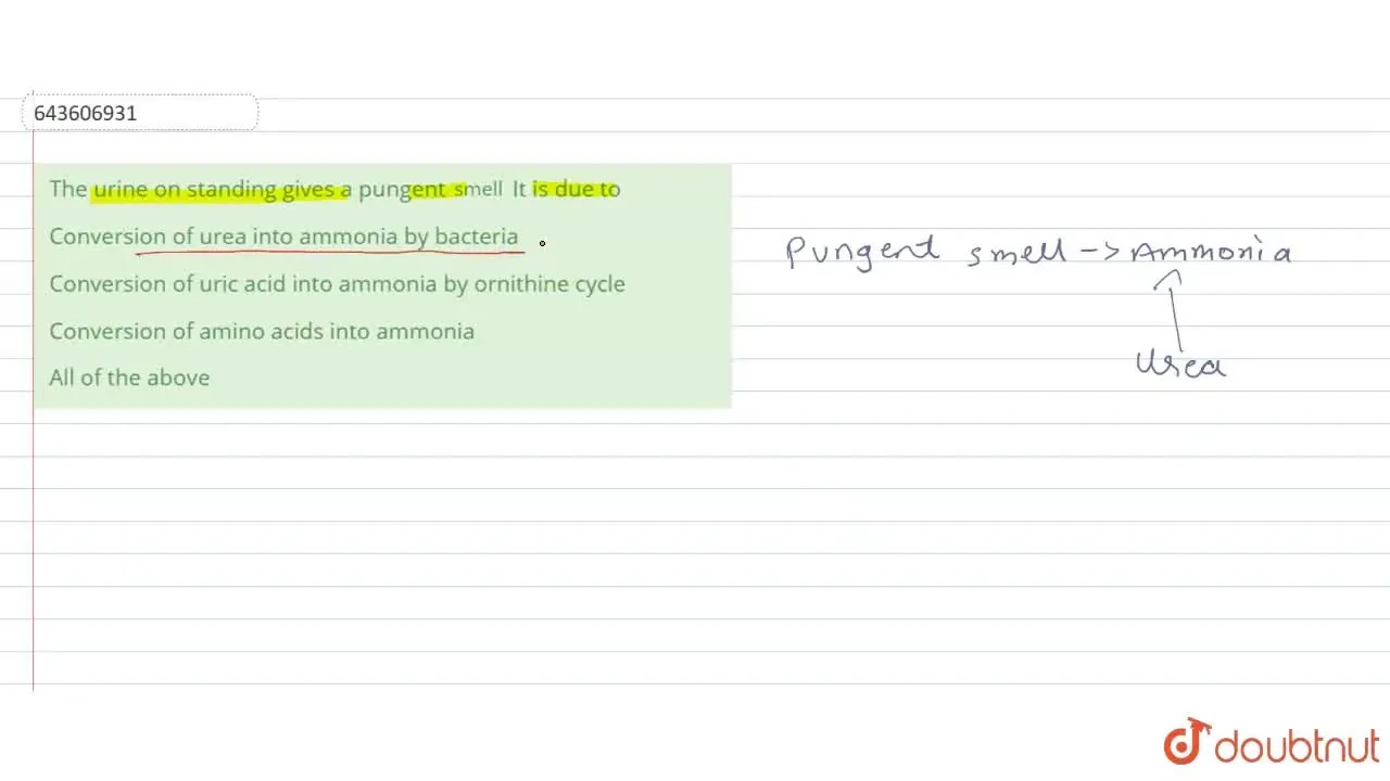 [Marathi Solution] Conversion of amino acids into ammonia