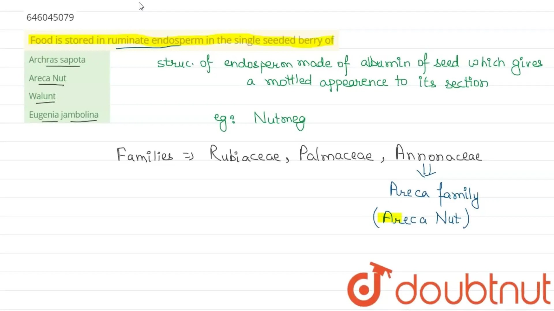 Food is stored in ruminate endosperm in the single seeded berry of