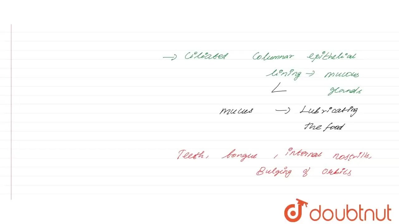[Tamil Solution] Write a short note on buccal cavity of Frog.