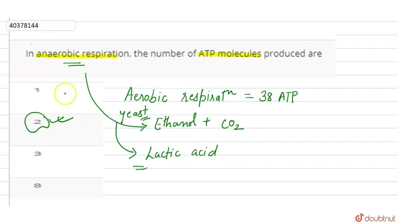 In anaerobic respiration, the number of ATP molecules produced are
