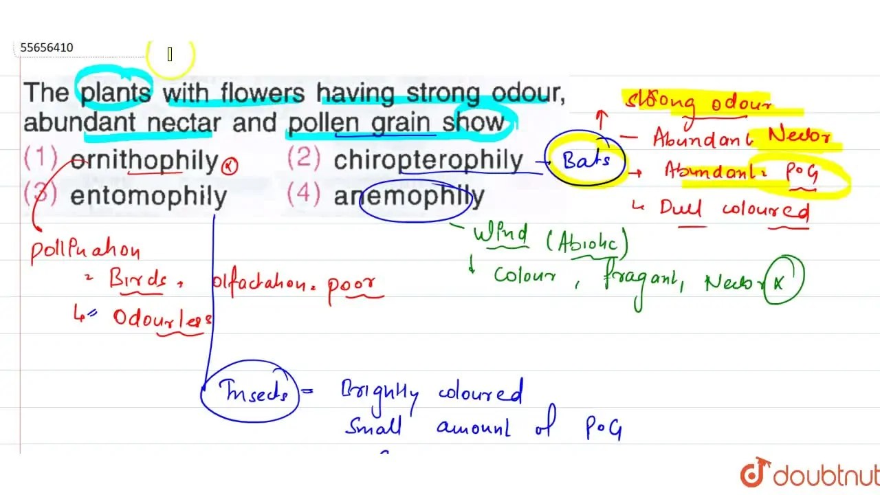The plants with flowers having strong odour abundant nectar and polle