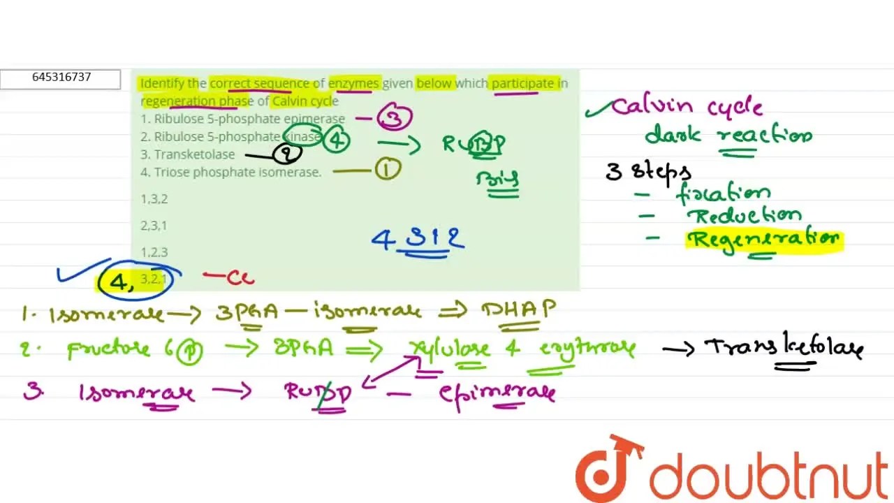 [Kannada Solution] Identify the correct sequence of enzymes given belo