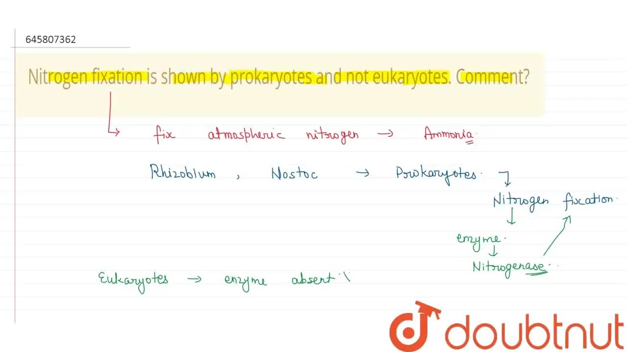 [Punjabi Solution] Nitrogen fixation is shown by prokaryotes and not e