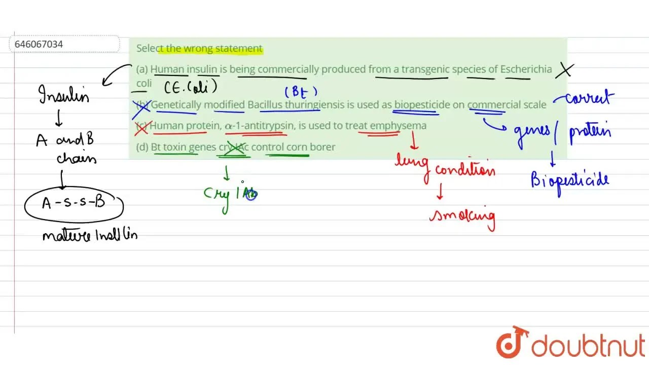 (c) Human protein, alpha1antitrypsin, is used to treat emphysema