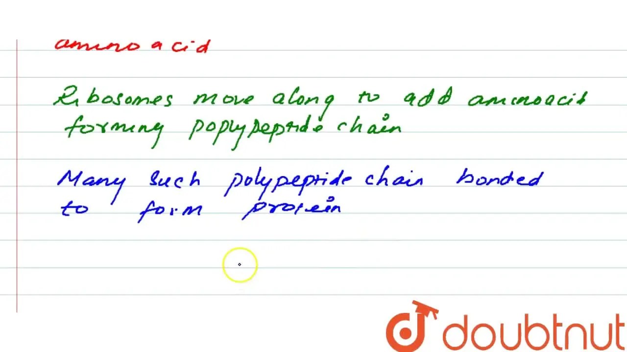 [Tamil Solution] Explain the process of formation of complex proteins?