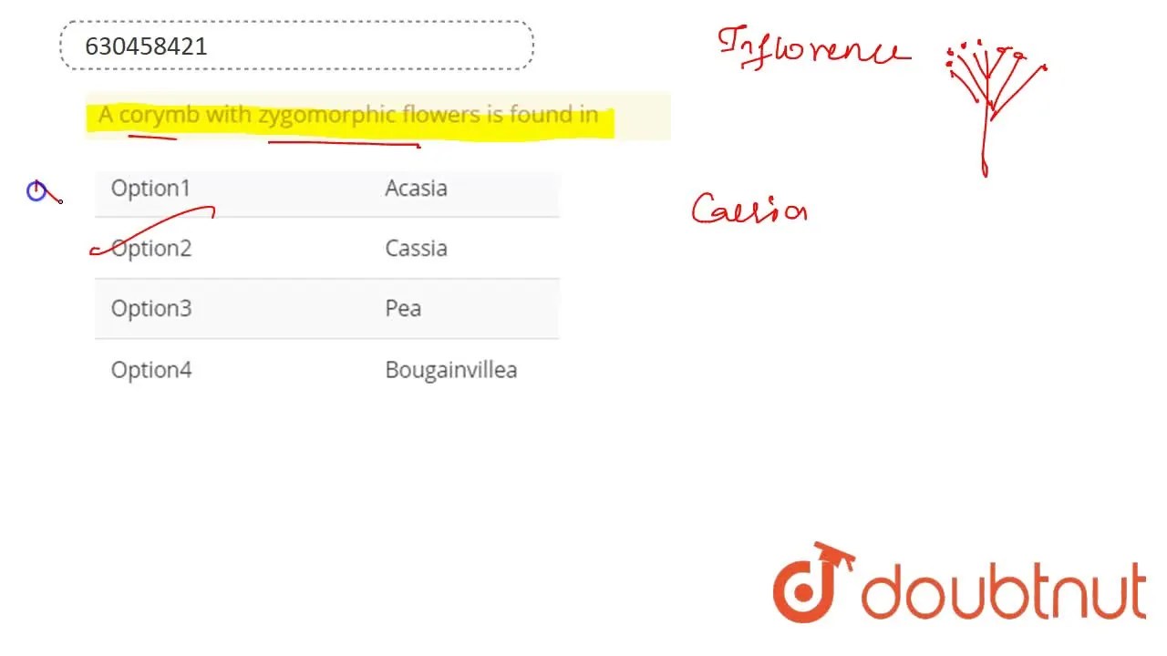 [Telugu Solution] A corymb with zygomorphic flowers is found in
