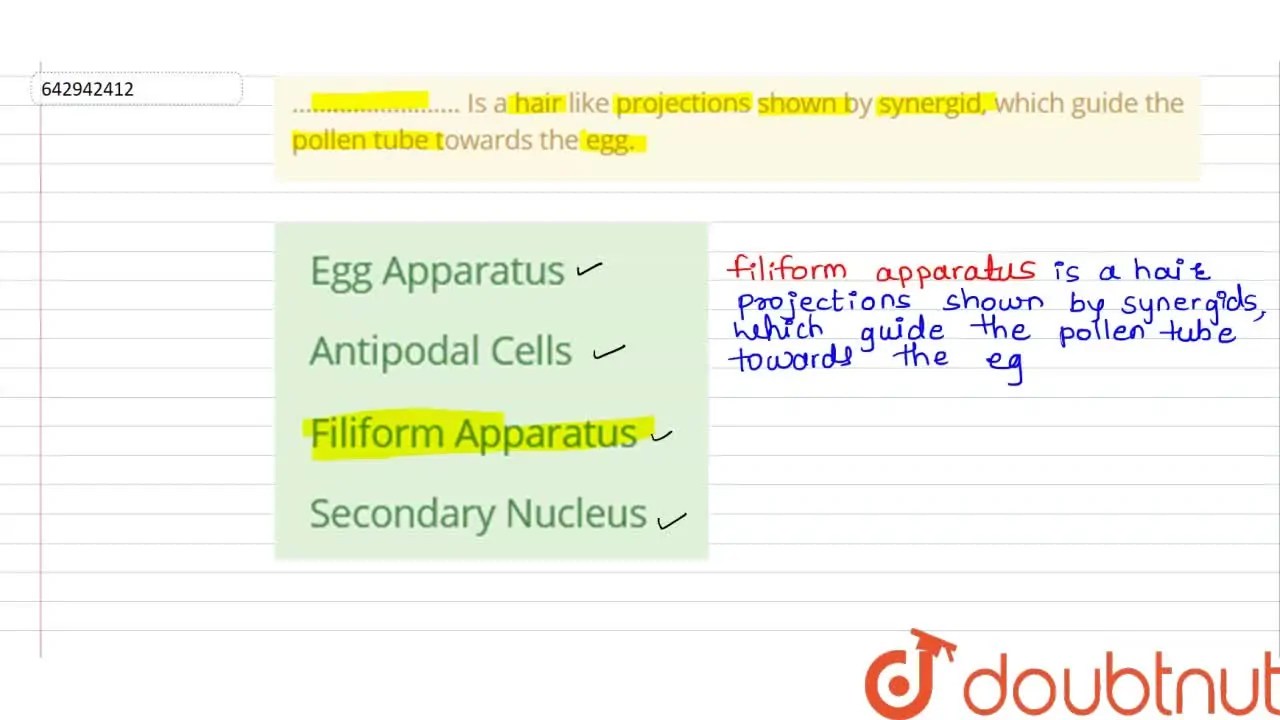[Marathi Solution] ……………………. Is a hair like projections shown by syner
