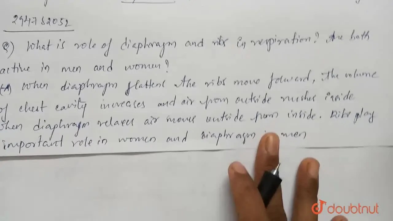 [Telugu Solution] What is the role of diaphragm and ribs in respiratio